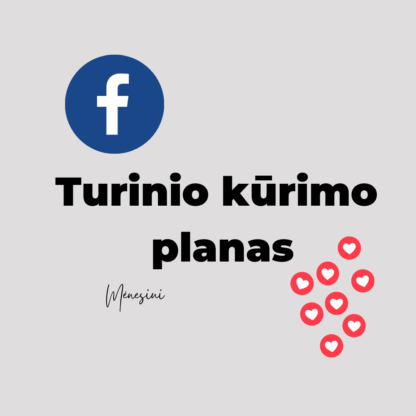 Turinio kūrimo planas/Facebook